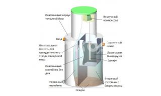 Биозон 2 - фото 2